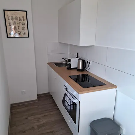 Cityoase Am Koenigsweg, 3, Wifi, Stellplatz, Netflix Apartment Magdeburg